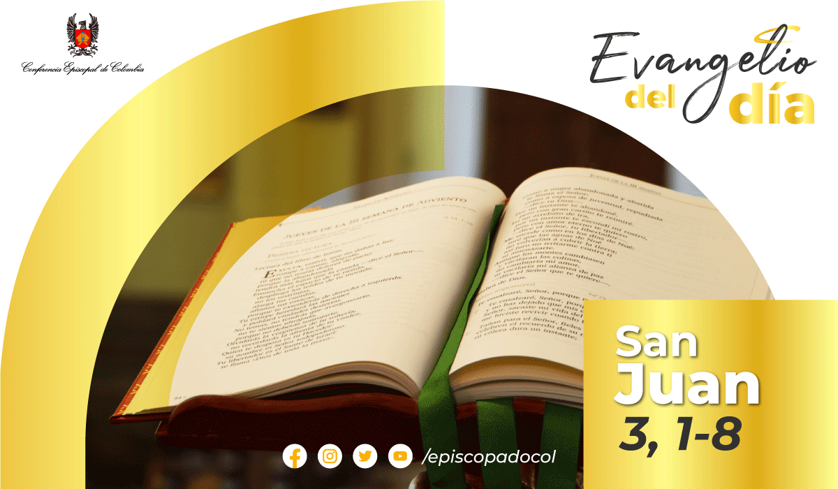 17 De Abril Lectura Del Santo Evangelio Según San Juan 3 1 8
