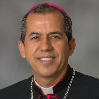 Mons. Mauricio Vélez García, Obispo auxiliar de Medellín