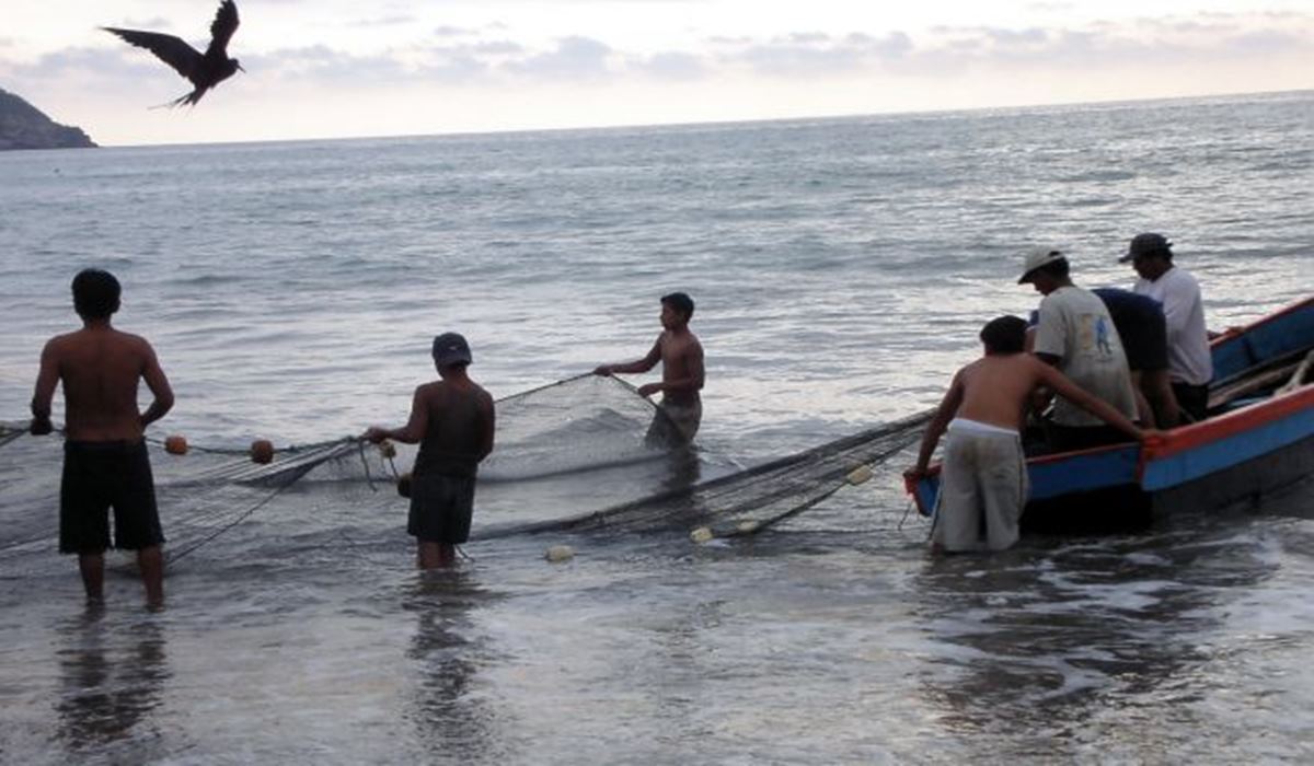  Santa Sede presentará mensaje del Día Mundial de la Pesca