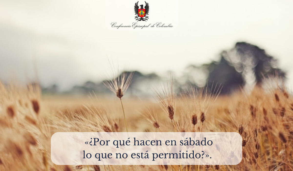 3 septiembre
