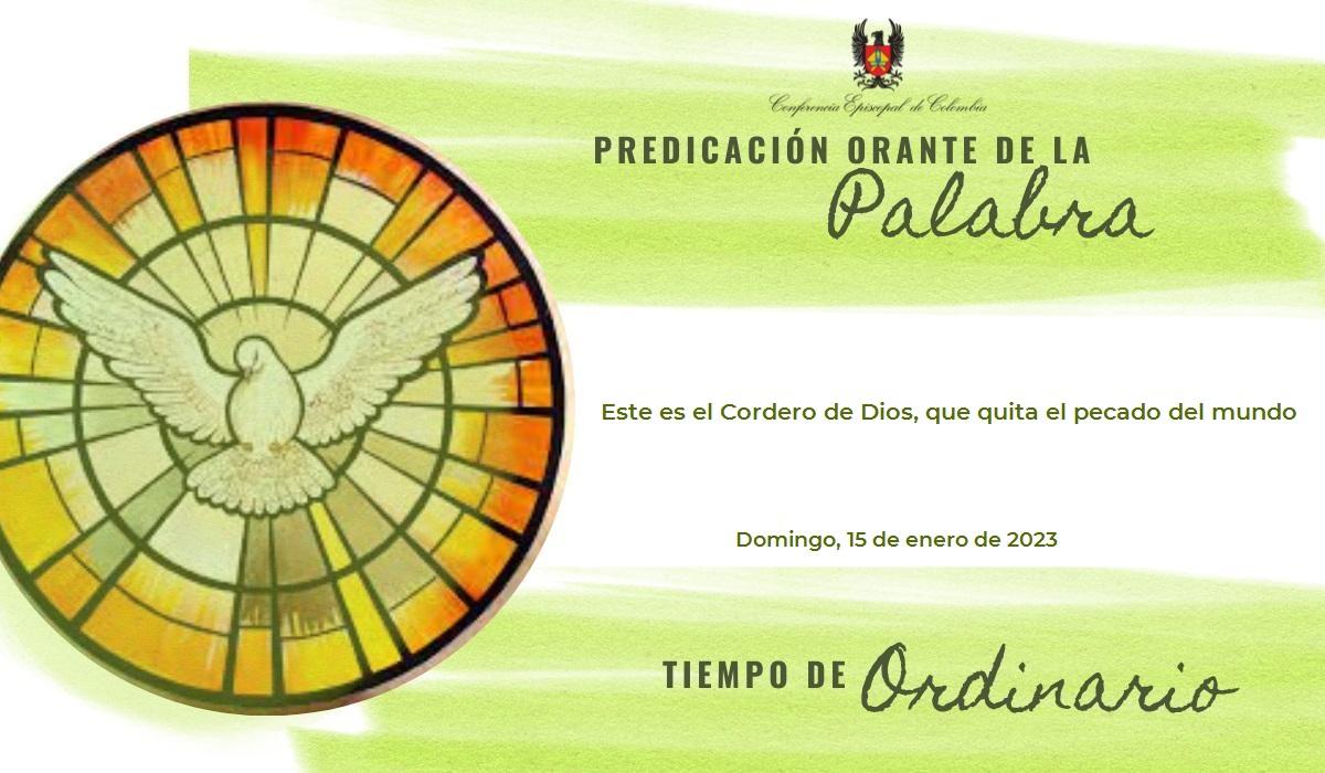 Este es el Cordero de Dios, que quita el pecado del mundo | Conferencia  Episcopal de Colombia
