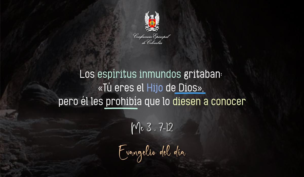 23 de enero evangelio san marcos 3 7 12 23