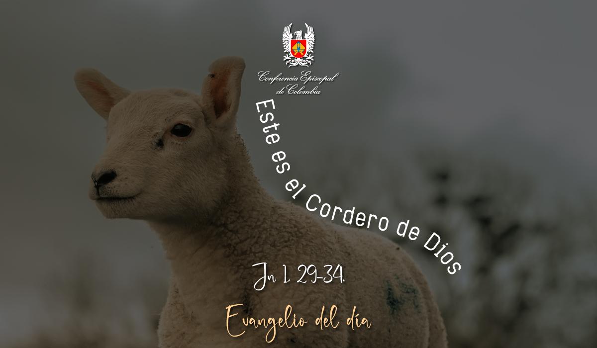 3 de enero evangelio san juan 1 29 34