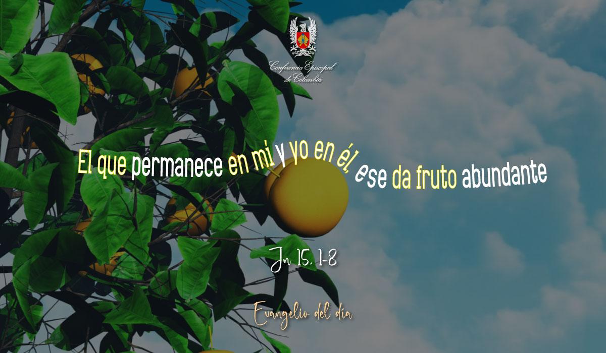 21-MAYO-EVANGELIO