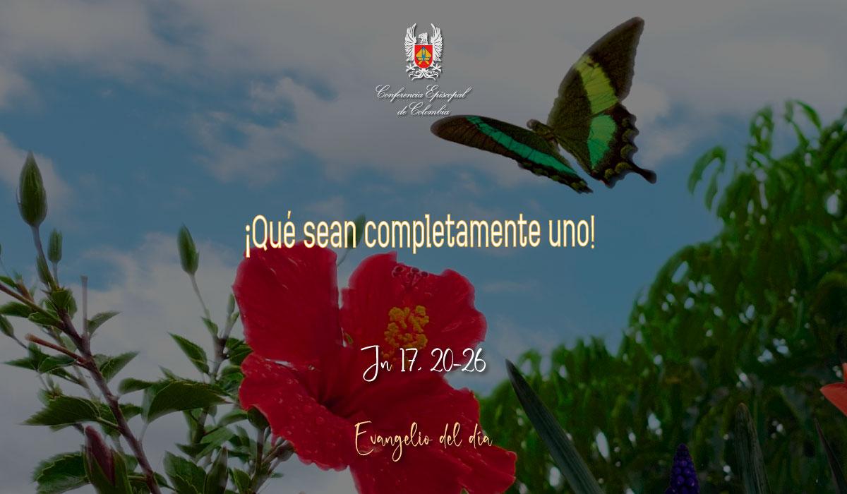 05-JUNIO-EVANGELIO