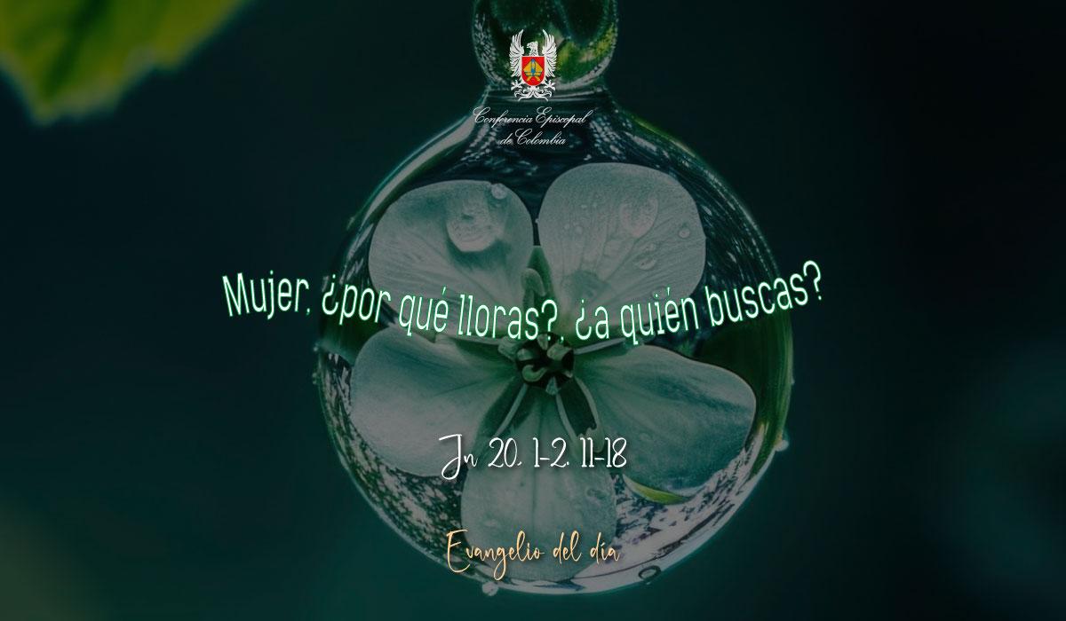 22-JULIO-EVANGELIO
