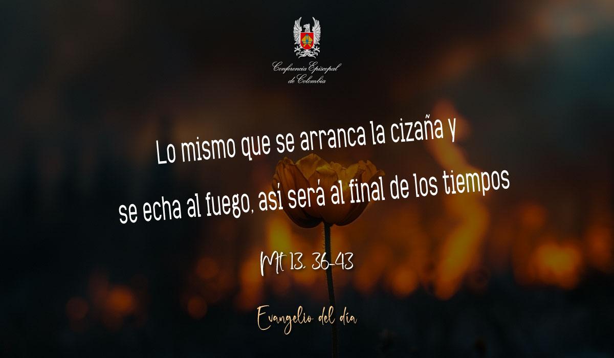 29-JULIO-EVANGELIO