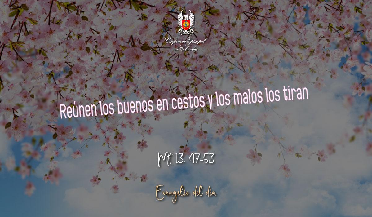 31-JULIO-EVANGELIO