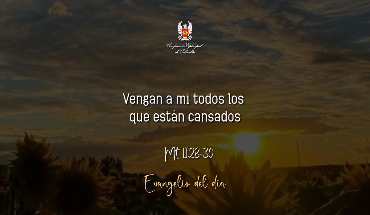 Evangelio 10 De Diciembre San Mateo Mt 11,28-30