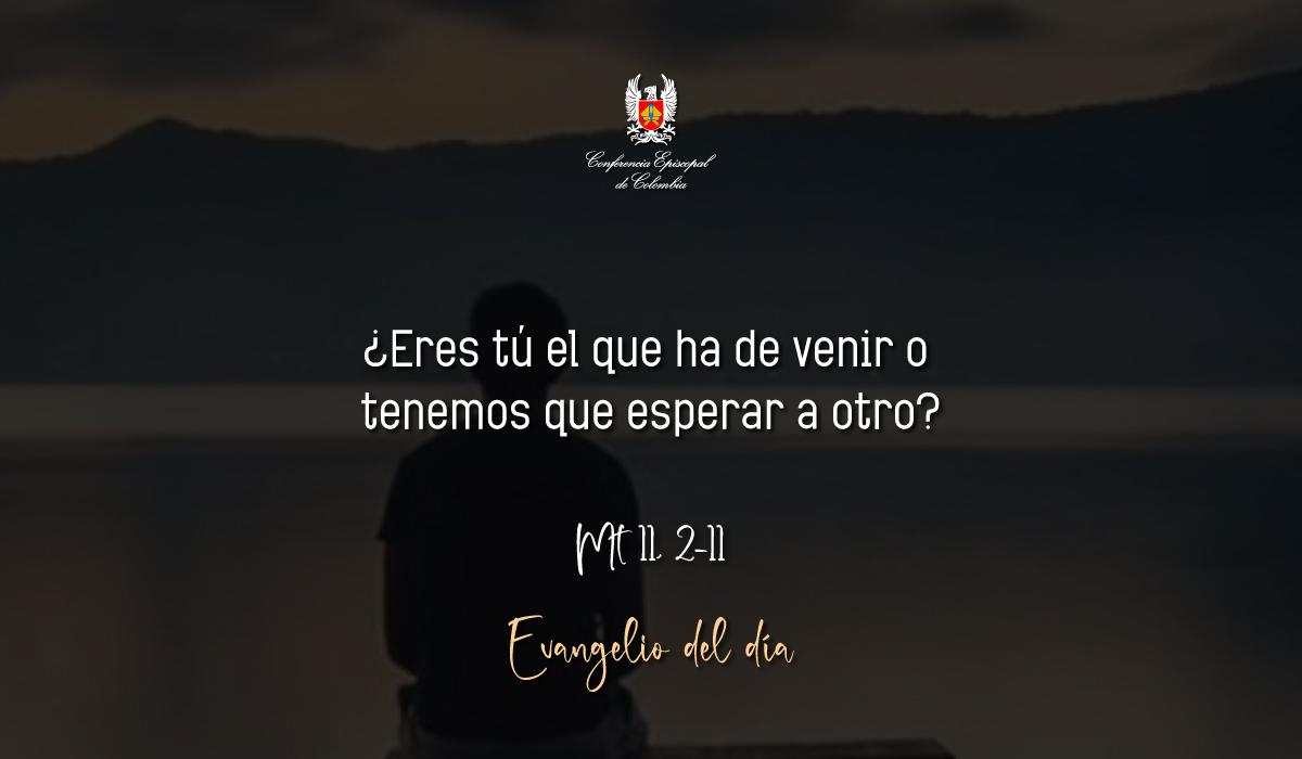 Evangelio 14 De Diciembre San Mateo Mt 11, 2-11