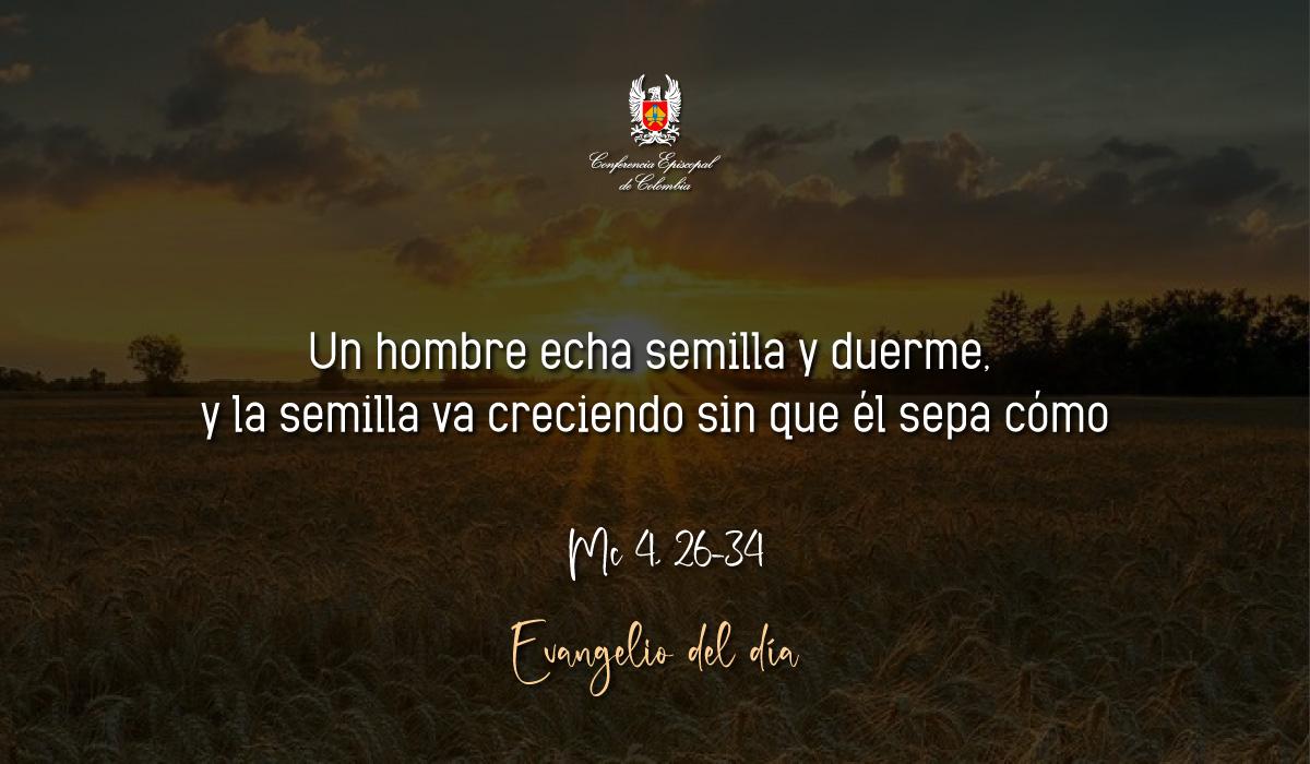 Evangelio 30 De Enero San Marcos Mc 4, 26-34