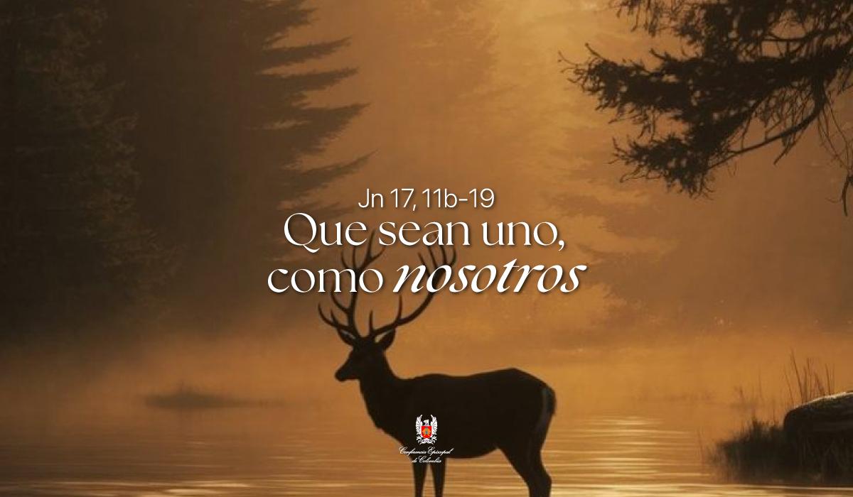 20-Evangelio-De-Mayo