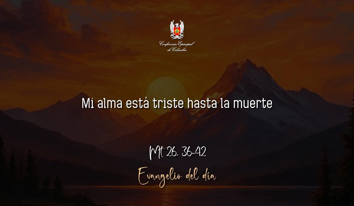 28-Evangelios-Mayo