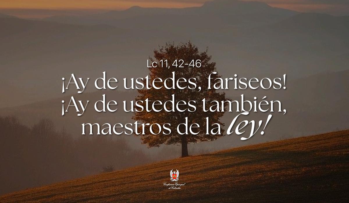 14-octubre-evangelio-web.jpg