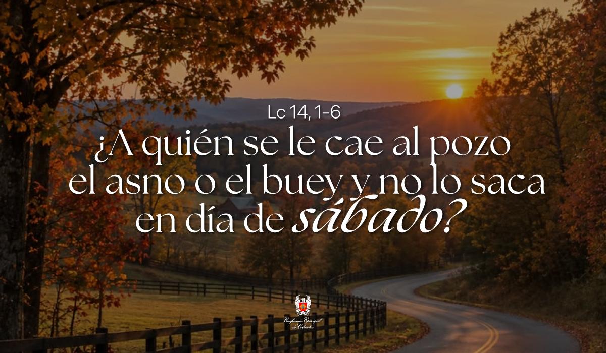 30-octubre-evangelio-web.jpg